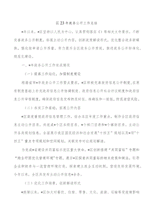 区23年政务公开工作总结.docx