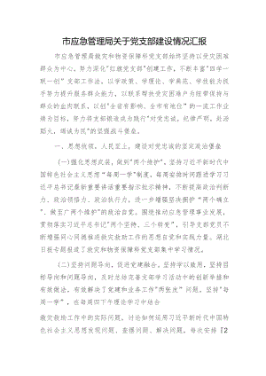 市应急管理系统近年来党支部建设情况总结汇报.docx