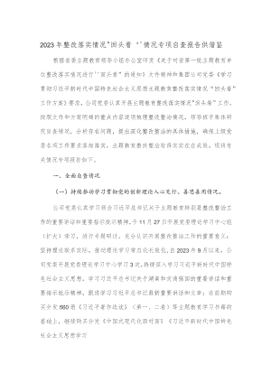 2023年整改落实情况“回头看”情况专项自查报告供借鉴.docx