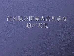 前列腺等超声诊断.ppt