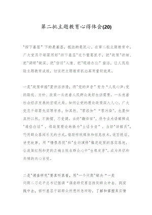 第二批主题教育心得体会（20）.docx