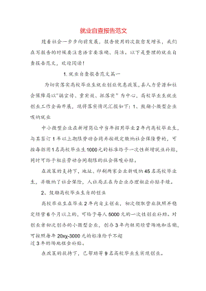 就业自查报告范文.docx