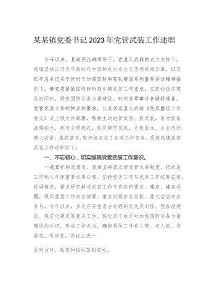 某某镇党委书记2023年党管武装工作述职.docx