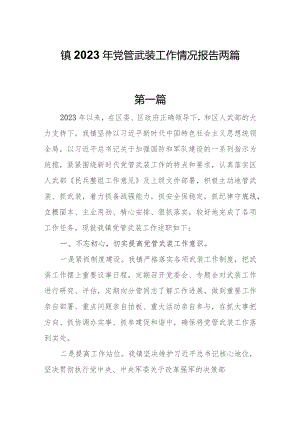 镇2023年党管武装工作情况报告两篇.docx