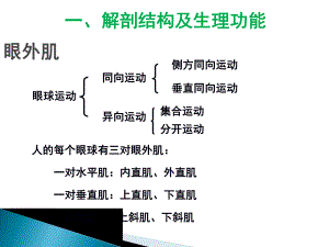 动眼神经解剖图文.ppt