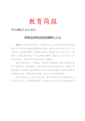 开展国家宪法日活动简报.docx
