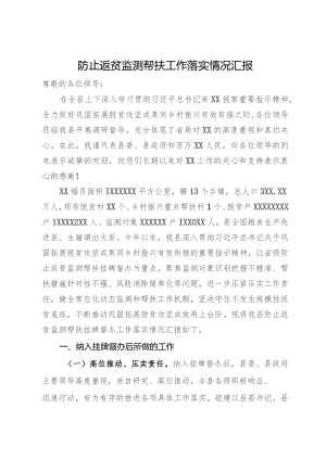 防止返贫监测帮扶工作落实情况汇报.docx