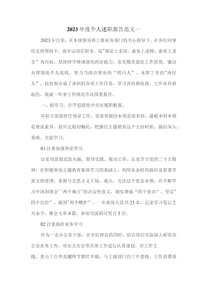 2023年度个人述职报告范文一.docx