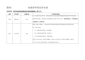 内部评审项目评分表.docx