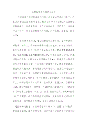 主题教育工作推进会发言.docx