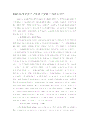 2023年度党委书记抓基层党建工作述职报告 .docx
