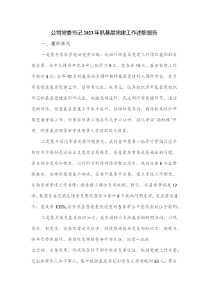 公司党委书记2023年抓基层党建工作述职报告.docx