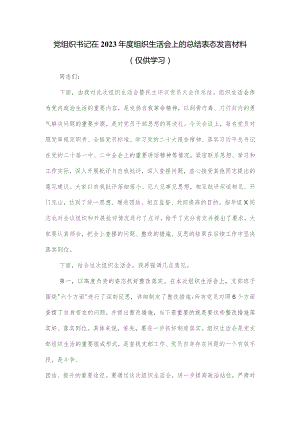 党组织书记在2023年度组织生活会上的总结表态发言材料.docx