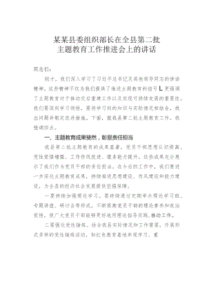 某某县委组织部长在全县第二批主题教育工作推进会上的讲话.docx