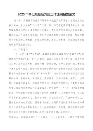 2023年书记抓基层x建工作述职报告工作汇报总结团队建设.docx