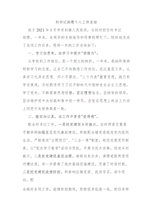 村书记助理个人工作总结.docx