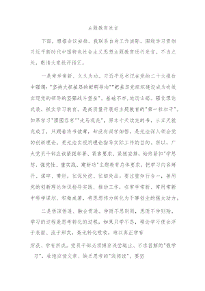 主题教育发言.docx