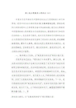 第二批主题教育心得体会范文.docx