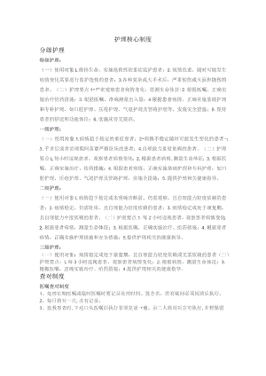 护理核心制度.docx
