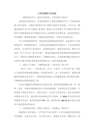 大学生村官工作总结.docx