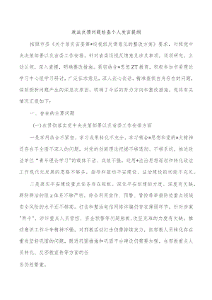 政法反馈问题检查个人发言提纲.docx