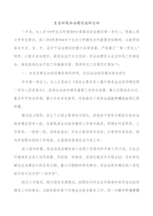 生态环境法治建设述职总结.docx