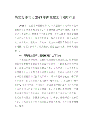 某党支部书记2023年抓党建工作述职报告.docx