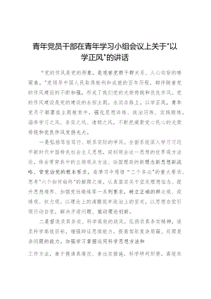 青年党员干部在青年学习小组会议上关于“以学正风”的讲话.docx