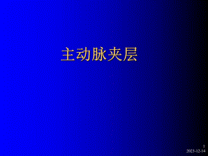 主动脉夹层教学幻灯.ppt