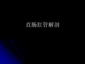 直肠肛管解剖（精品PPT） .ppt