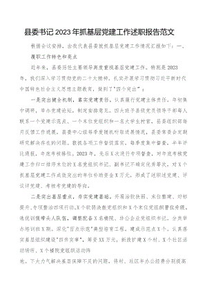 2023年抓基层x建工作述职报告团队建设总结汇报委.docx