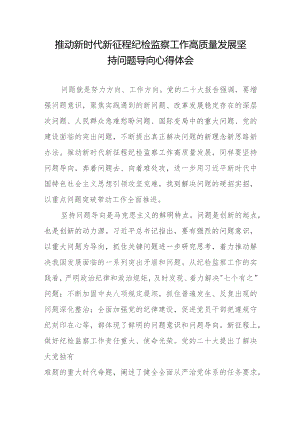 推动新时代新征程纪检监察工作高质量发展坚持问题导向心得体会.docx