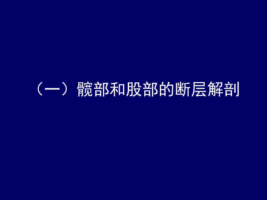 人体断层解剖学、下肢断层解剖.ppt_第2页