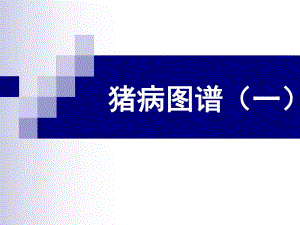 猪病彩色图谱(一).ppt