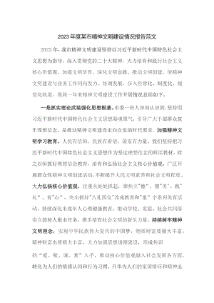 2023年度某市精神文明建设情况报告范文.docx