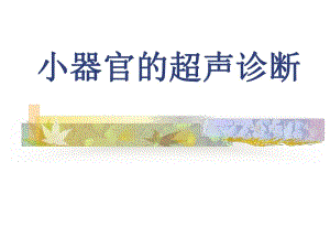 小器官的超声诊断.ppt