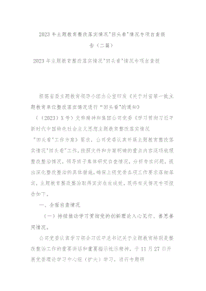 2023年主题教育整改落实情况“回头看”情况专项自查报告(二篇).docx