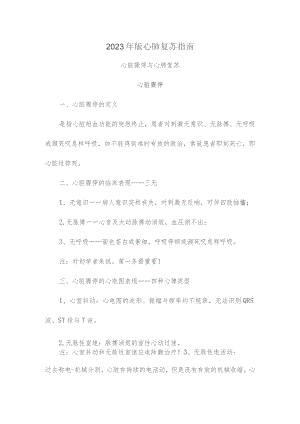 2023年新版心肺复苏指南.docx