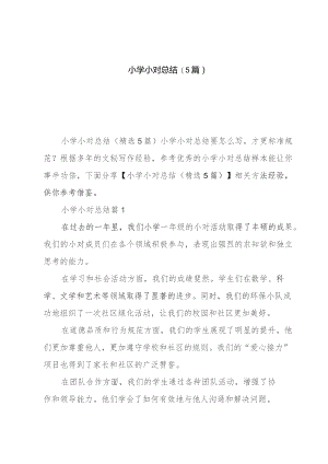 小学小对总结(5篇).docx