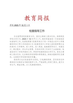 检查指导工作简报.docx