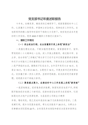 村党支部书记2023年度述职报告.docx