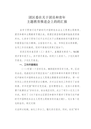 团区委在关于团员和青年主题教育推进会上的的汇报.docx