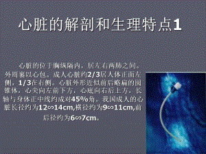 心脏超声讲义.ppt