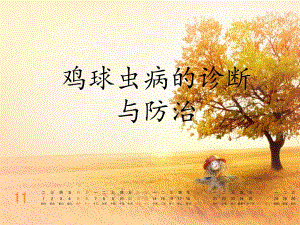 鸡球虫病的诊断与防治.ppt