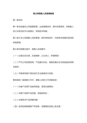 某公司销售人员管理制度.docx