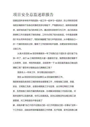 项目安全总监述职报告.docx