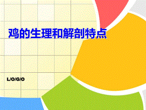 鸡的生理和解剖特点.ppt