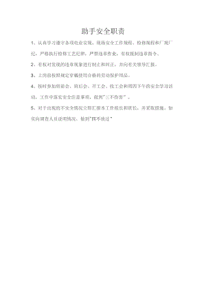 助手安全职责.docx