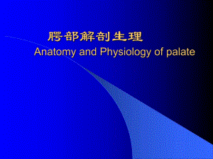 腭部解剖.ppt