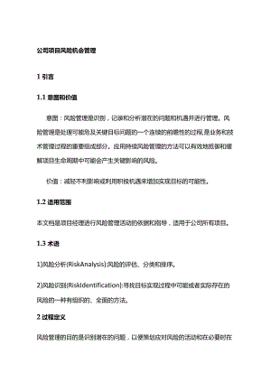 公司项目风险机会管理全套.docx